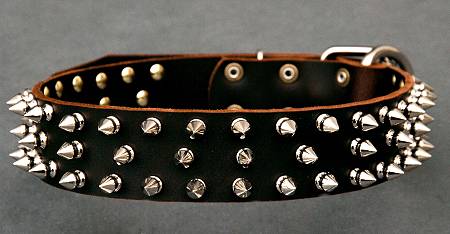 Protector Full Spiked Latigo Dog Collar for Doberman