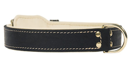 Riveted Leather Dog Collar for Doberman