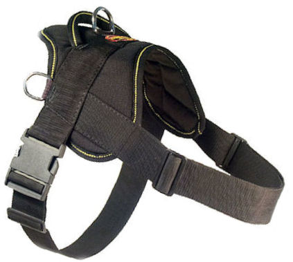Looking for EzyDog Harness for Doberman