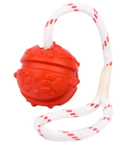 Similar to Everlasting Fun Ball on a Rope for Doberman