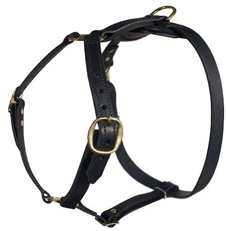 Similar Lupine adjustable dog harness for Doberman