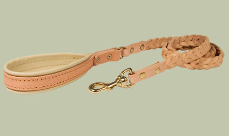 Similar to COACH Leather Dog Leash for Doberman training : Doberman Breed:  Dog harness, Muzzle, Collar, Leash | 2023 [BUY NOW]