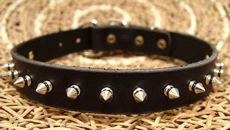 Small Spiked Dog Collar for Doberman puppy