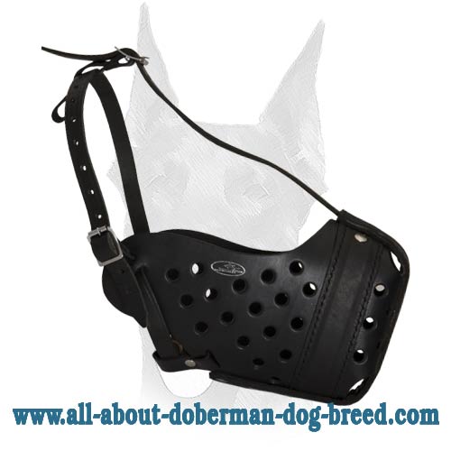 Extra protective comfortable Doberman leather muzzle