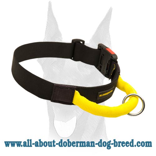 Everyday durable nylon Doberman collar with a handle
