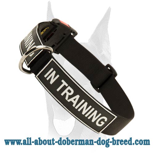 Easy adjustable nylon collar with quick release buckle for your Doberman