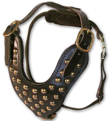 Doberman padded leather dog harness with studs- studded best dog harness for Doberman Pinschers