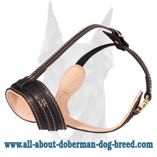 Light Weight Superable Leather Muzzle for Doberman