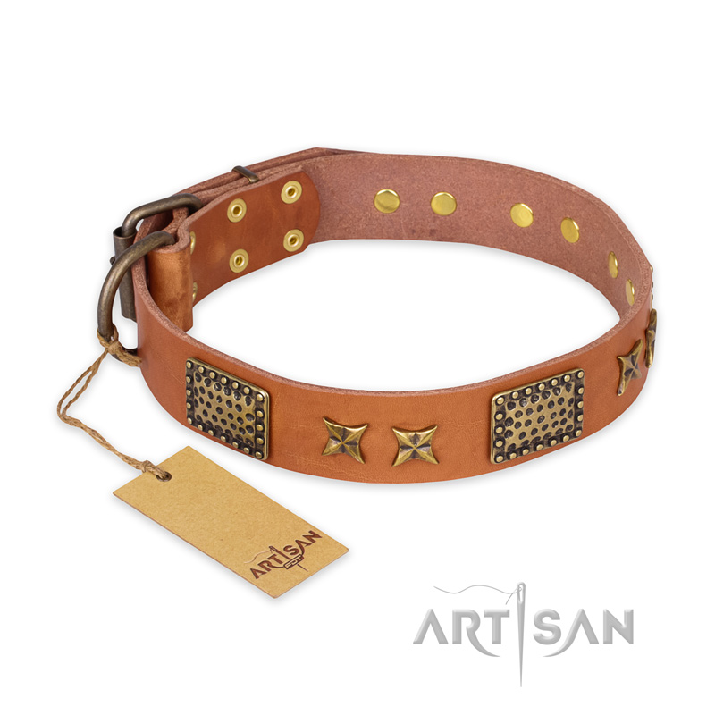 'Cosmic Traveller' FDT Artisan Adorned Leather Doberman Collar with Old Bronze-Plated Stars and Plates 1 1/2 inch (40 mm) Wide