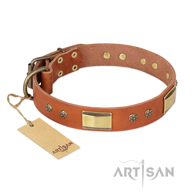 'Enchanting Spectacle' FDT Artisan Doberman Tan Leather Dog Collar with Golden-Like Studs - 1 1/2 inch (40 mm) wide