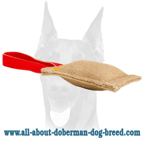 Jute Doberman puppy bite tug with one handle