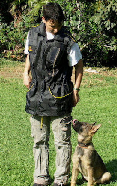 Ultra Light Weight Training Vest for Doberman Trainers : Doberman Breed: Dog  harness, Muzzle, Collar, Leash