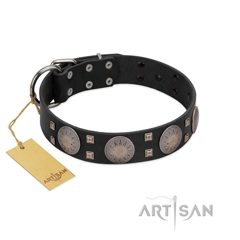 "Sun in Shining" Modern FDT Artisan Black Leather Doberman Collar with Studs and Stars