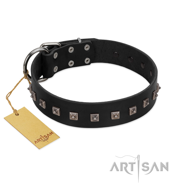 "Natural Beauty" Premium Quality FDT Artisan Black Designer Doberman Collar with Dotted Studs