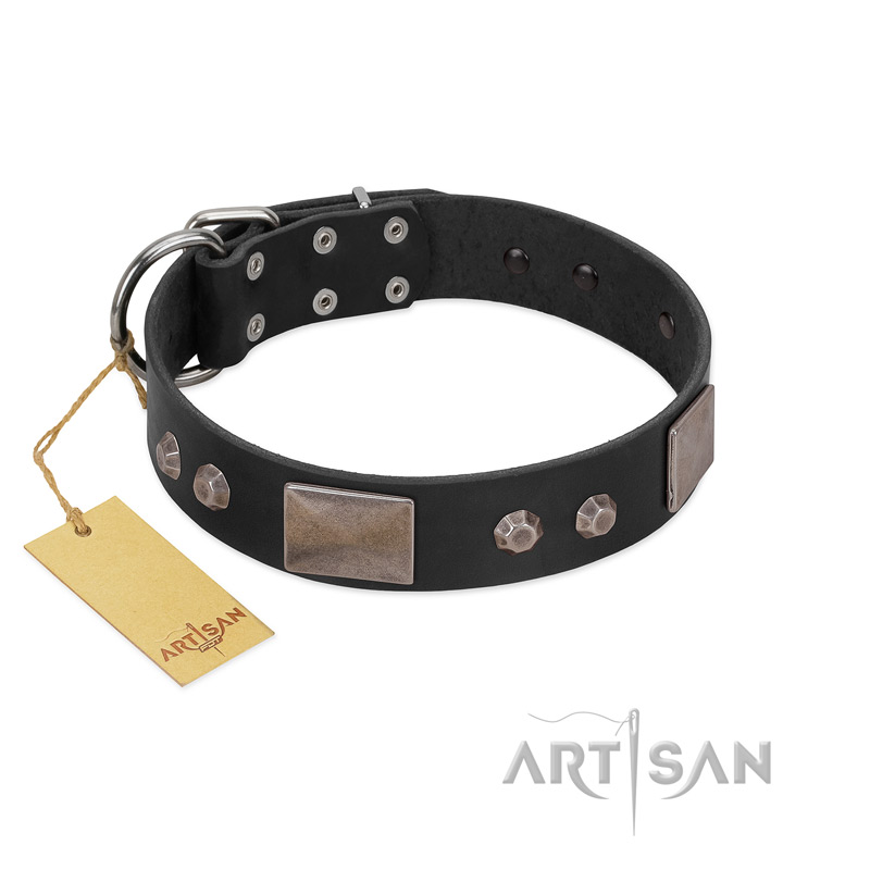 "Square Stars" Modern FDT Artisan Black Leather Doberman Collar with Square Plates and Studs - Click Image to Close