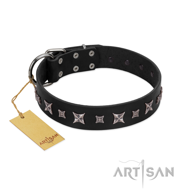 "Polar Lights" Designer FDT Artisan Black Leather Doberman Collar with Silver-Like Studs