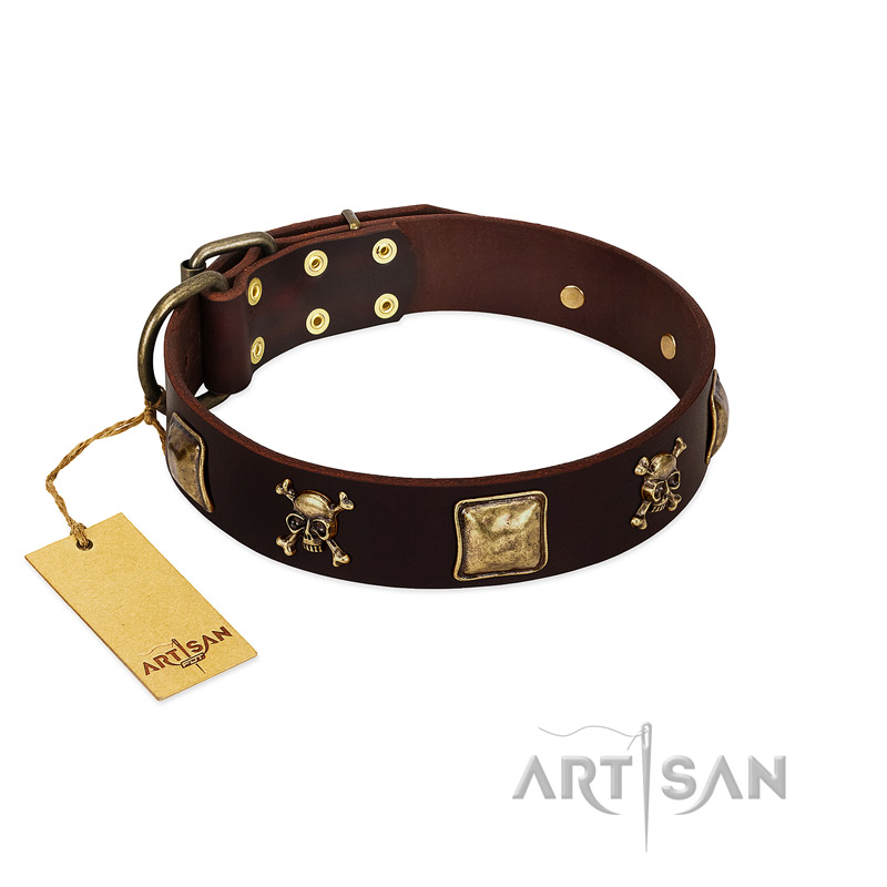 "Crazy Pirate" FDT Artisan Brown Leather Doberman Collar with Old Bronze-Plated Skulls and Plates