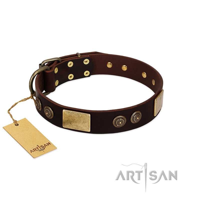 "Bow-Wow Effect" FDT Artisan Brown Leather Doberman Collar with Plates and Ornate Studs - Click Image to Close