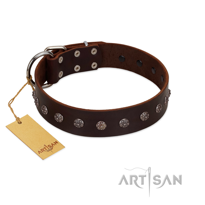 "Graceful Classic" Mod FDT Artisan Brown Leather Doberman Collar