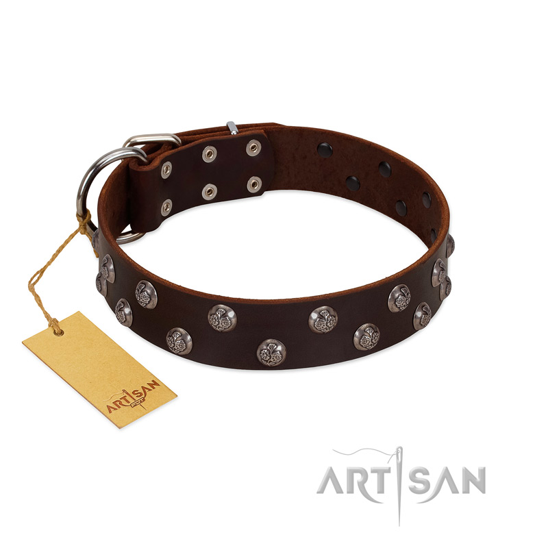 "Blossom Jewel" FDT Artisan Brown Leather Doberman Collar with Two Rows of Silver-like Studs with Engraved Flowers