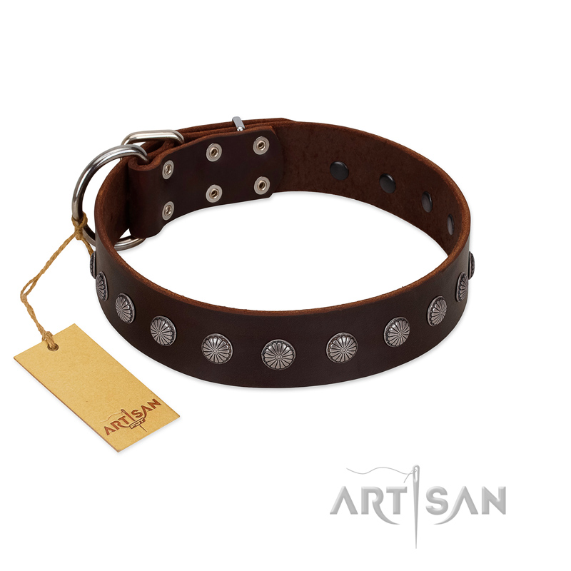 "Spring Flower" Stylish FDT Artisan Brown Leather Doberman Collar for Comfy Walks - Click Image to Close