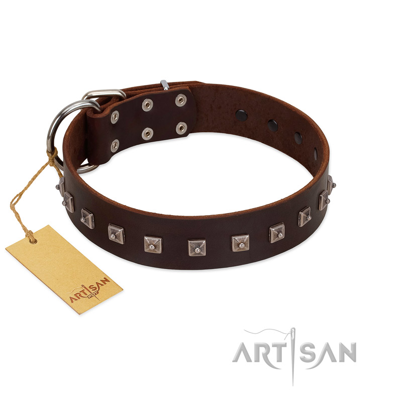 "Kingly Grace" FDT Artisan Brown Leather Doberman Collar with Silver-like Dotted Studs - Click Image to Close