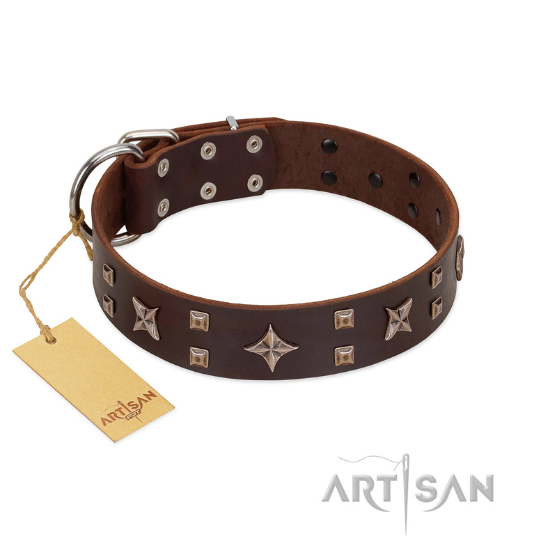 "Stars in Sands" Modern FDT Artisan Brown Leather Doberman Collar with Studs and Stars - Click Image to Close