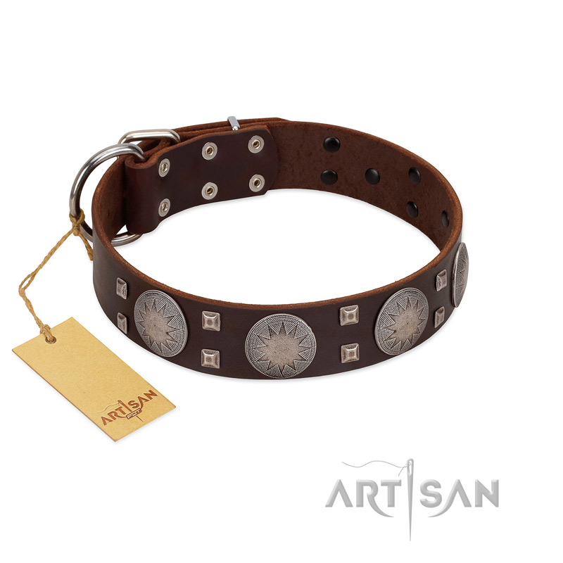 "Sun in Barchans" Modern FDT Artisan Brown Leather Doberman Collar with Engraved Stars on Round Plates and Studs