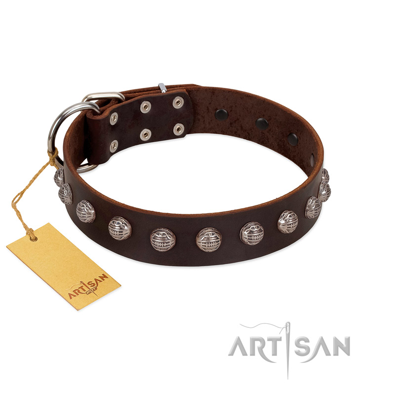 "Lucky Silver" Designer Handmade FDT Artisan Brown Leather Doberman Collar