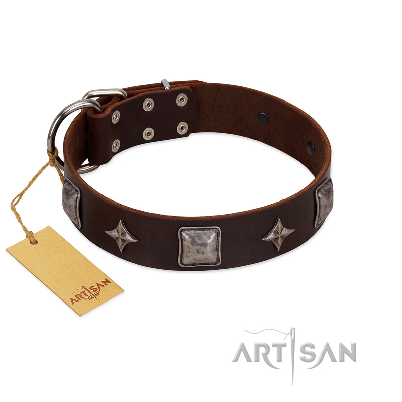 "Cold Star" Designer FDT Artisan Brown Leather Doberman Collar with Silver-Like Adornments - Click Image to Close