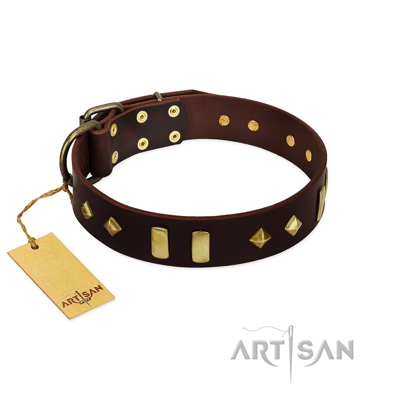 "Blinking Illusion" FDT Artisan Brown Leather Doberman Collar with Old Bronze-like Studs and Plates - Click Image to Close