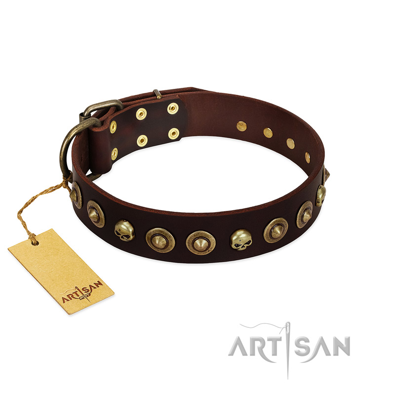 "Street Fashion" FDT Artisan Brown Leather Doberman Collar Adorned with Circles and Skulls