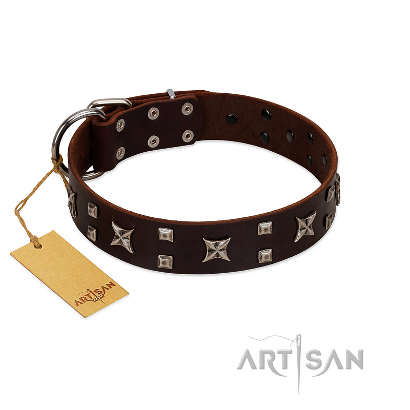 "Bigwig Woof" FDT Artisan Brown Leather Doberman Collar with Chrome Plated Stars and Square Studs