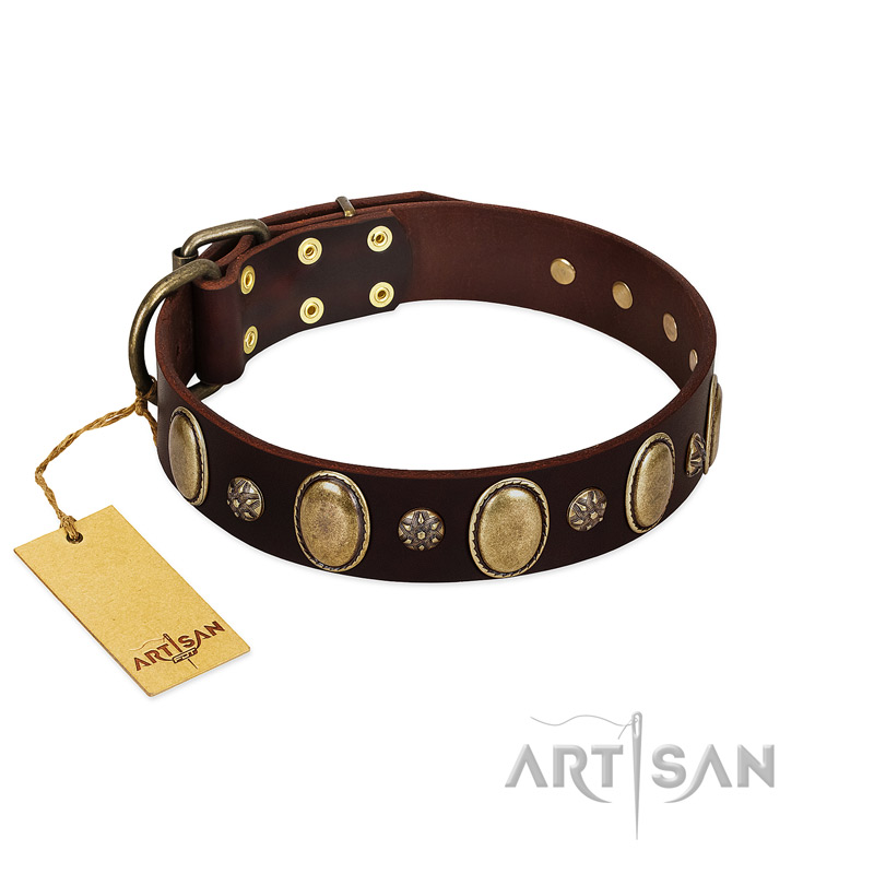 "Bronze Idol" FDT Artisan Brown Leather Doberman Collar with Eye-catching Ovals and Small Studs - Click Image to Close