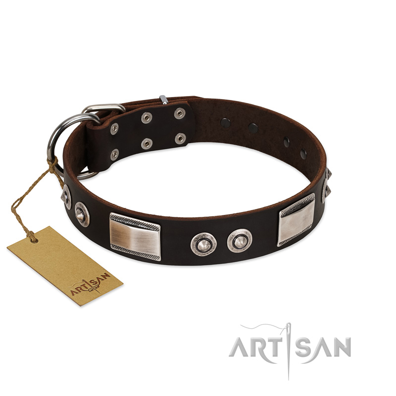 "Baller Status" FDT Artisan Brown Leather Doberman Collar Adorned with a Set of Chrome Plated Studs and Plates