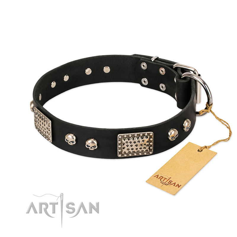 "Pirates Gold" FDT Artisan Black Leather Doberman Collar with Old Silver Look Plates and Skulls
