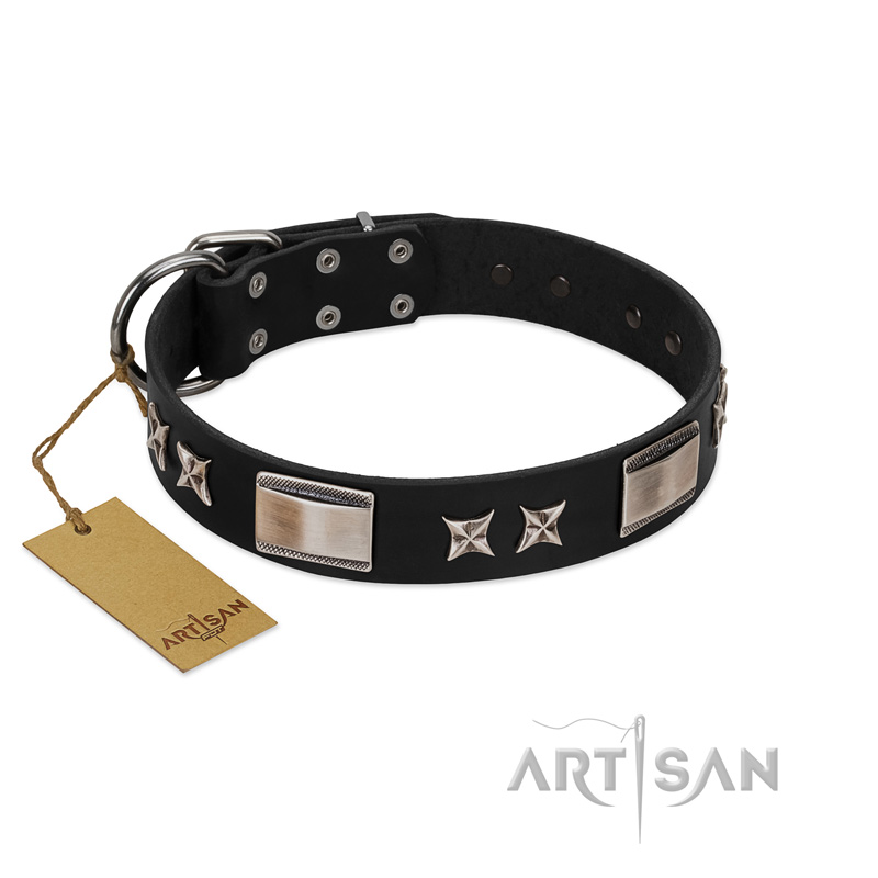 "Pitch Dark" FDT Artisan Black Leather Doberman Collar with Stars and Plates