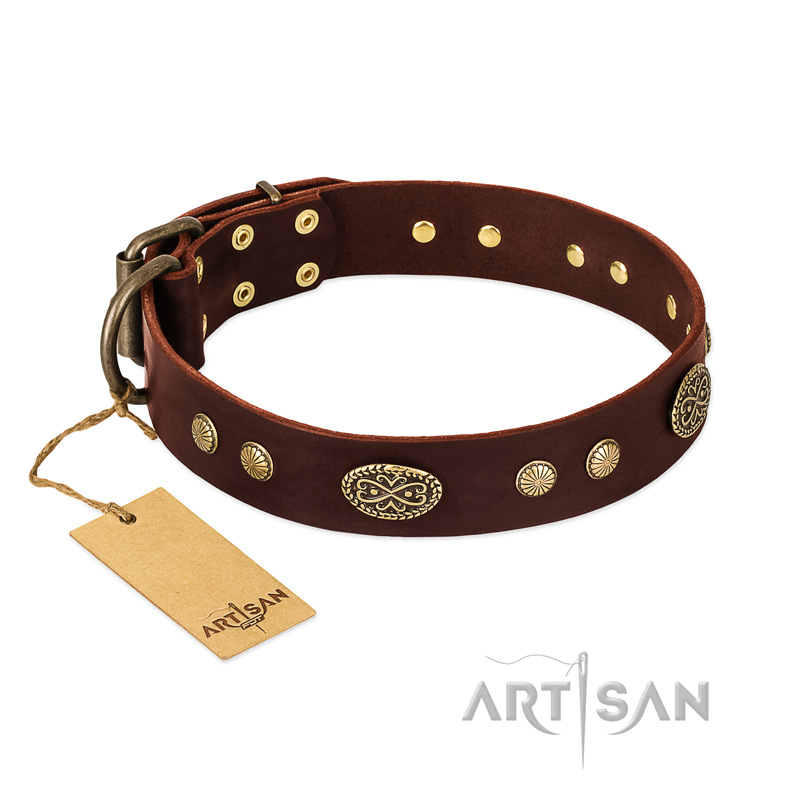 "Old-fashioned Glamor" FDT Artisan Brown Leather Doberman Collar with Old Bronze Look Plates and Circles