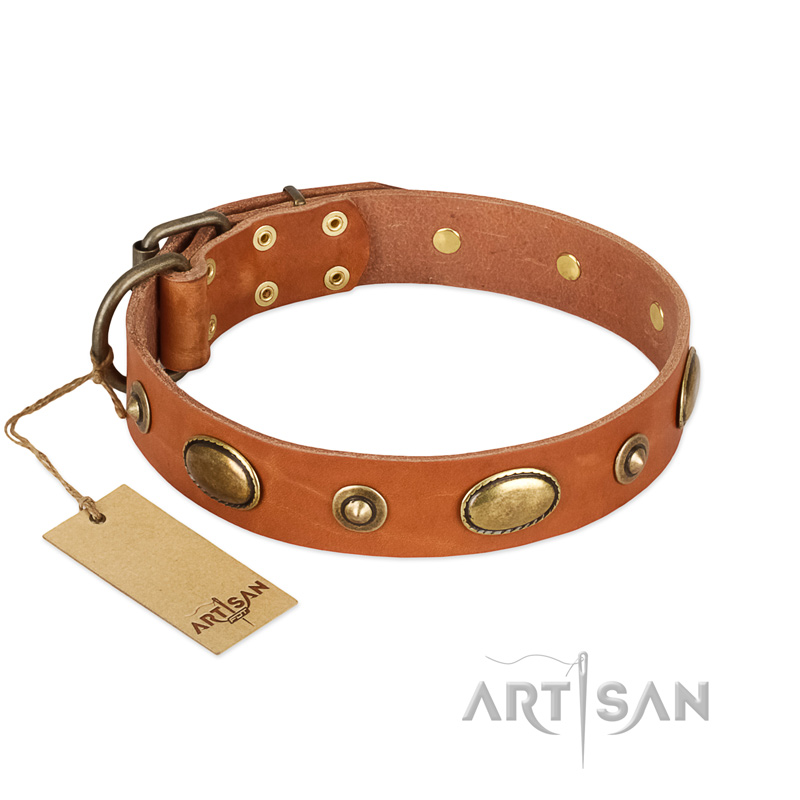 "Visual Magic" FDT Artisan Tan Leather Doberman Collar for Daily Activities