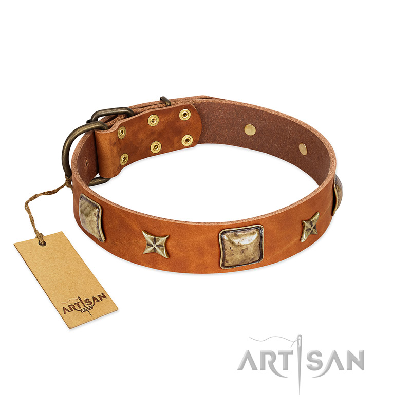"Celtic Tunes" FDT Artisan Tan Leather Doberman Collar Adorned with Stars and Squares - Click Image to Close