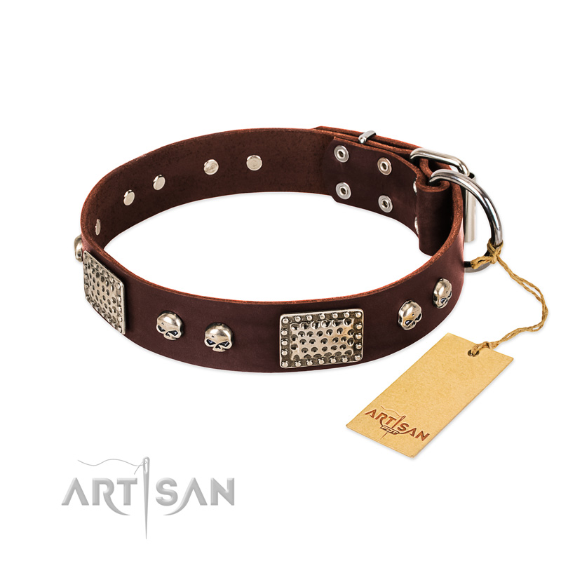 "Pirate Skull" FDT Artisan Brown Leather Doberman Collar with Old Silver Look Plates and Skulls - Click Image to Close