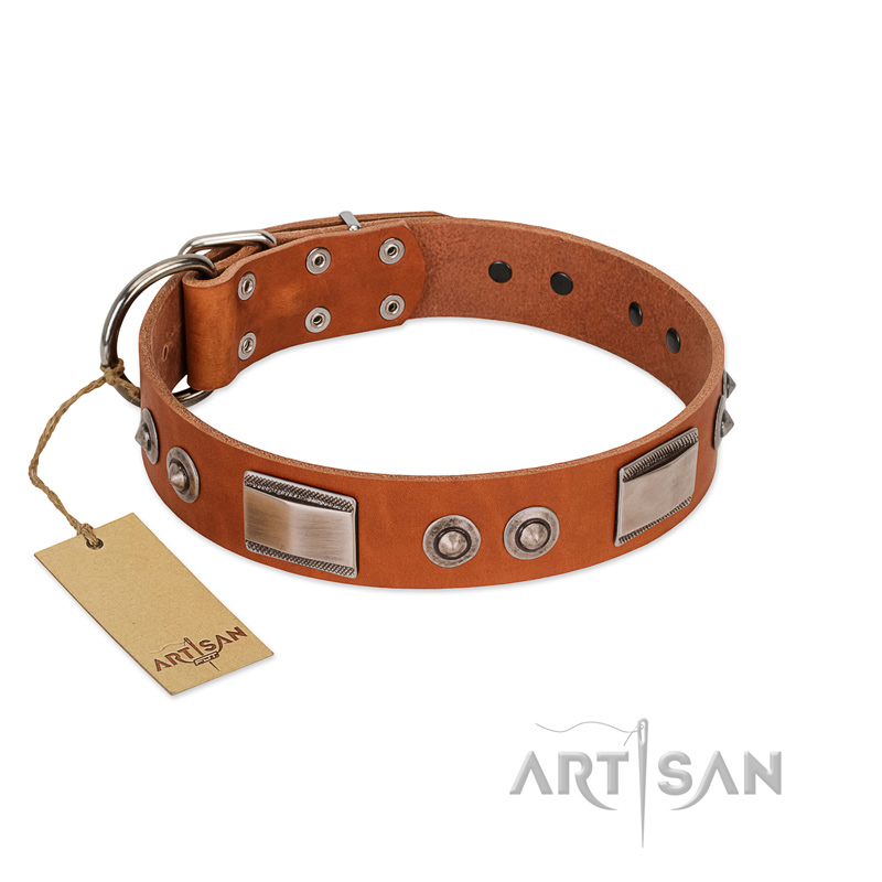 "Pawsy Glossy" FDT Artisan Exclusive Tan Leather Doberman Collar 1 1/2 inch (40 mm) wide