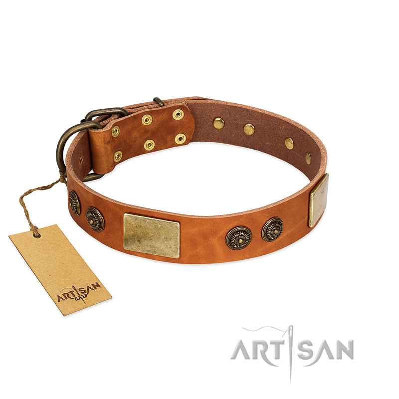 "Bronze Century" FDT Artisan Tan Leather Doberman Collar with Plates and Brooches with Cool Ornament