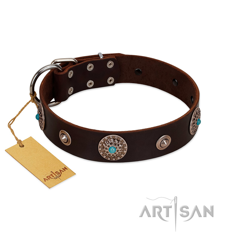 "Magic Stones" FDT Artisan Brown Leather Doberman Collar with Chrome Plated Brooches and Studs