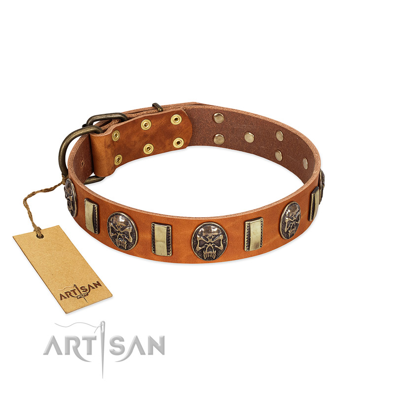 "Strike of Rock" FDT Artisan Tan Leather Doberman Collar with Plates and Medallions with Skulls