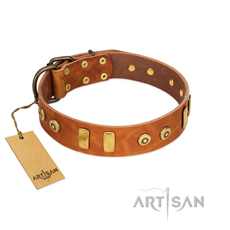 "Egyptian Script" FDT Artisan Tan Leather Doberman Collar with Plates and Small Studs
