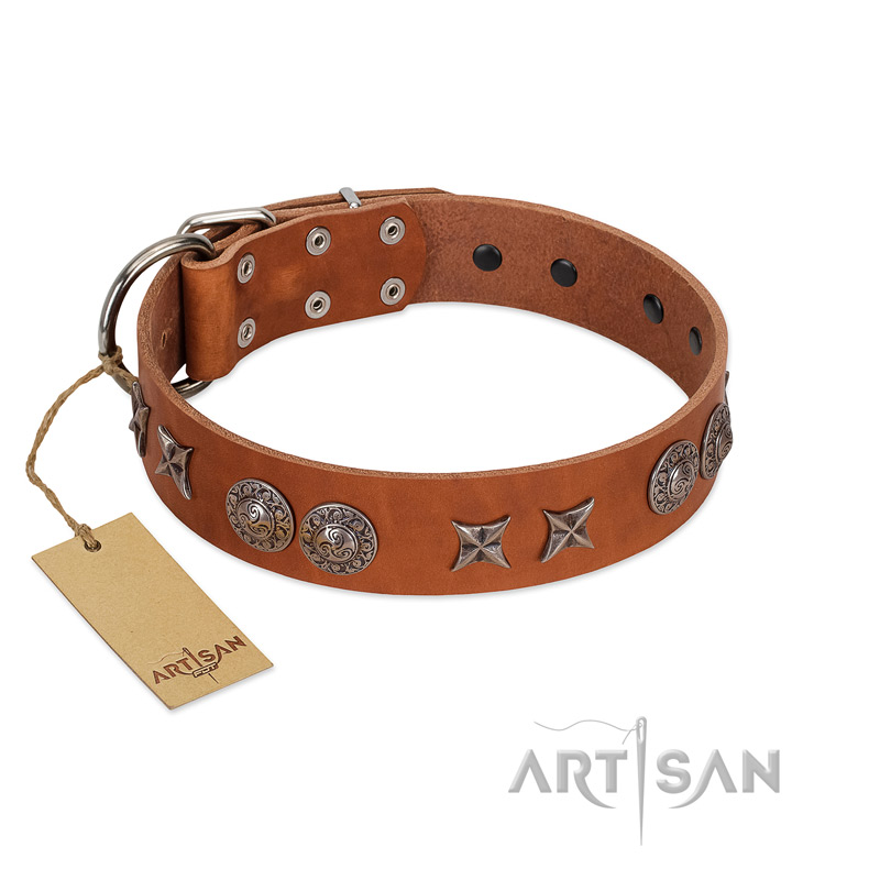 "Splendid Armor" Premium Quality FDT Artisan Tan Designer Doberman Collar with Shields and Stars