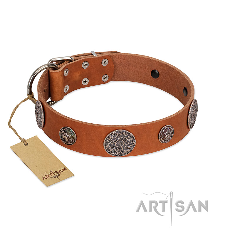 "Foxy Nature" FDT Artisan Tan Leather Doberman Collar with Chrome Plated Brooches - Click Image to Close