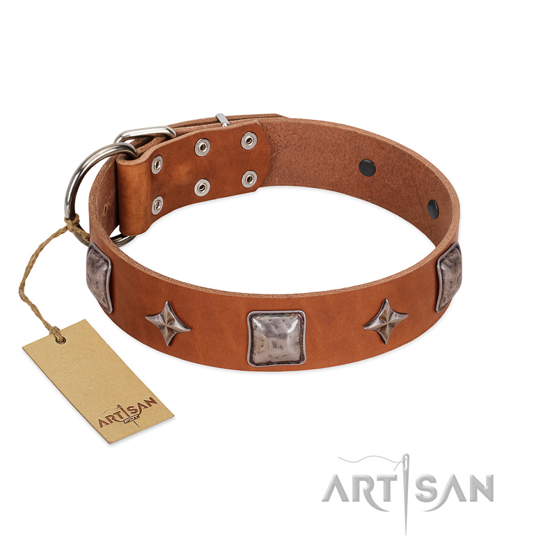 "Lucky Star" FDT Artisan Tan Leather Doberman Collar with Silver-Like Embellishments