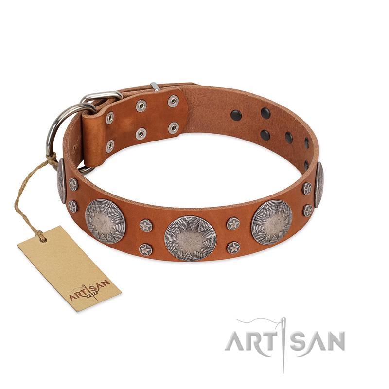 "Far Star" FDT Artisan Tan Leather Doberman Collar with Engraved Studs